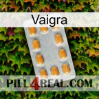 Vaigra cialis3